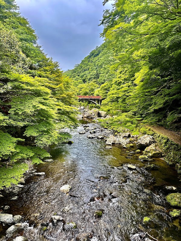 Japan - Kyoto