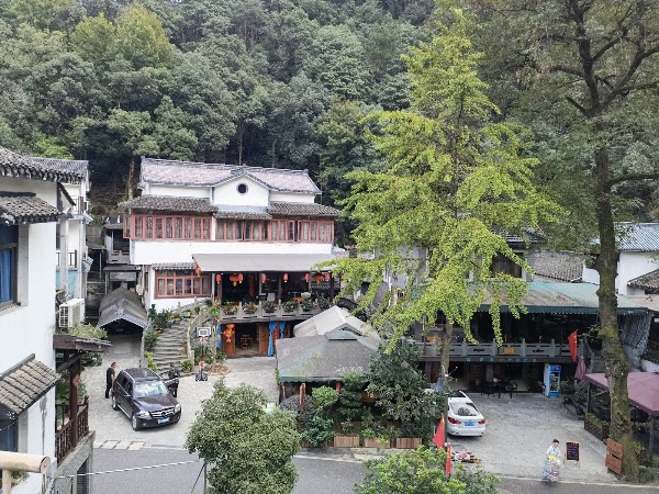 龙井