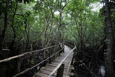 Jozani Forest