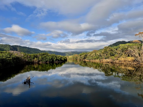 Crocodile Viewpoint 1