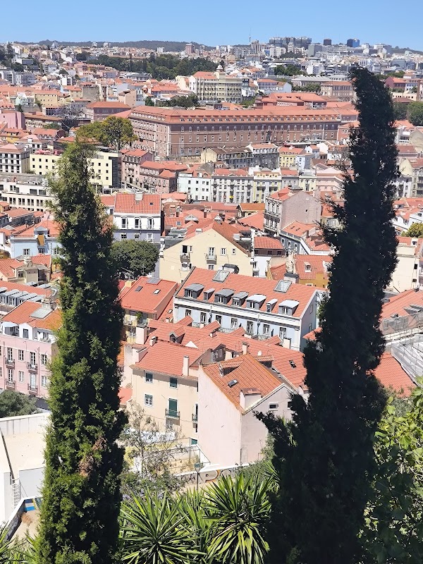 Lisbon Street Art Tours 2