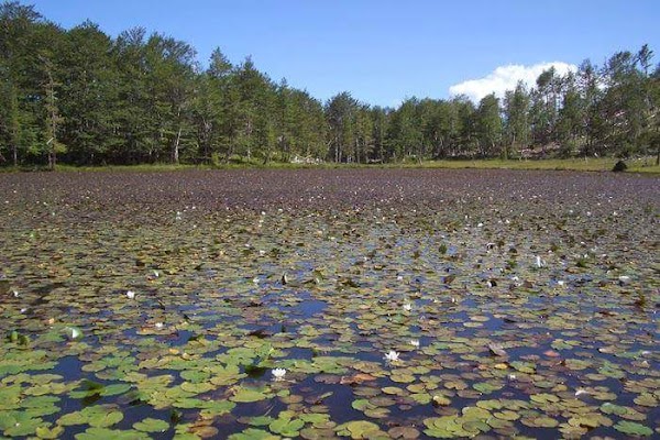 Lura - Dejë Mountain National Park