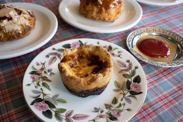 SCONE CCLLIM 5