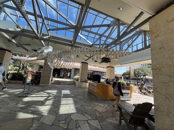 Whalers Village 5