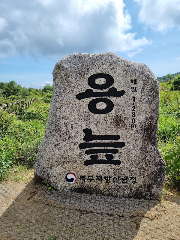 The High Moor, Yongneup of Mt. Daeam