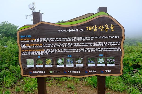 The High Moor, Yongneup of Mt. Daeam 3
