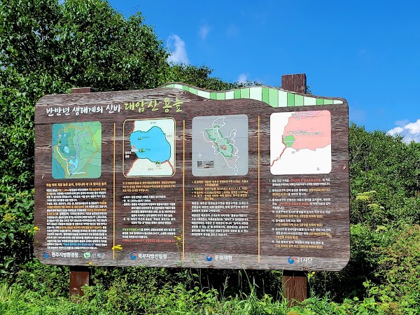 The High Moor, Yongneup of Mt. Daeam 2
