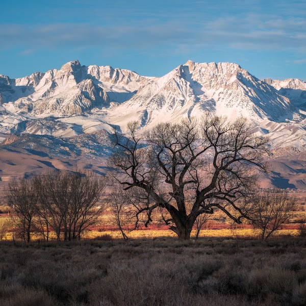 Eastern Sierra 3