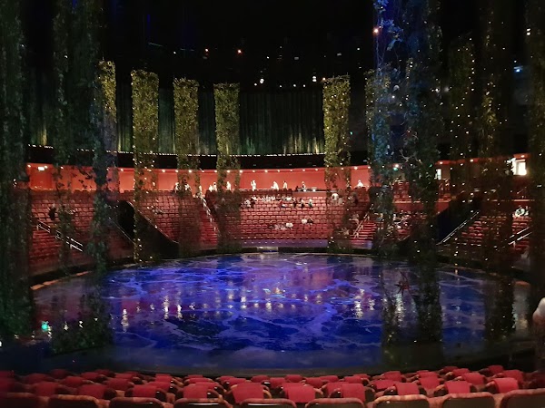 The House of Dancing Water 5