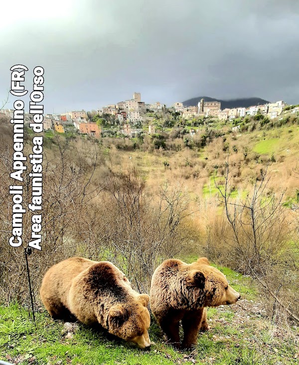 Area Faunistica dell'Orso - Campoli Appennino