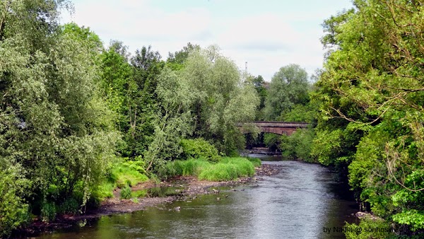 Kelvingrove Park 4