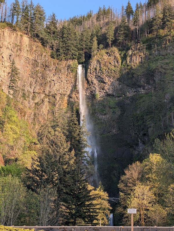 Mount Hood National Forest 2