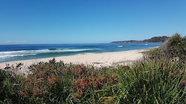 Mollymook