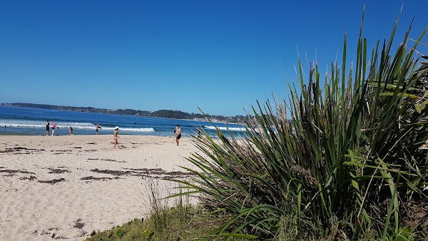 Mollymook 5