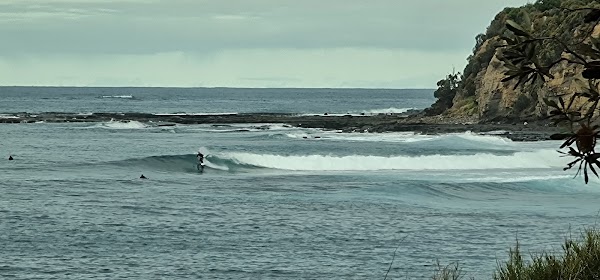 Mollymook 4