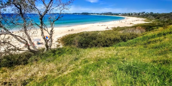 Mollymook 3