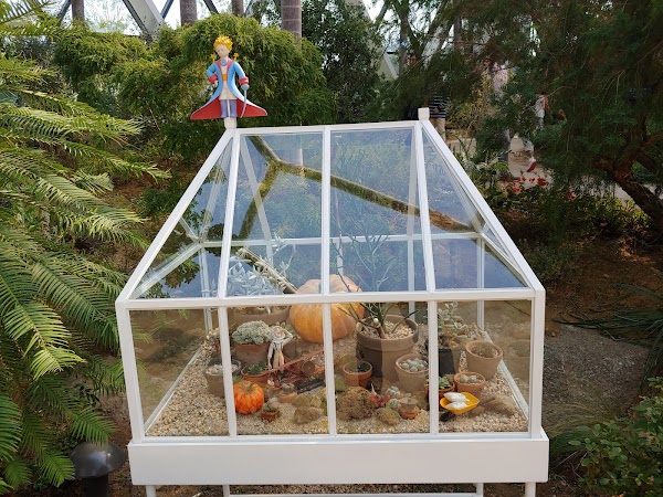 Seoul Botanic Park 2