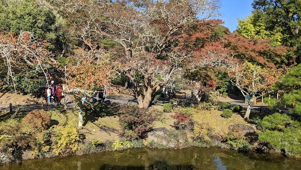 Narita 3