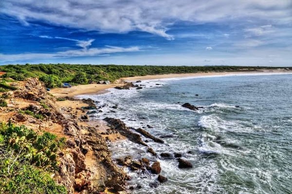 Bundala National Park 5