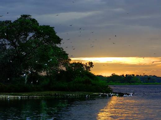 Bundala National Park 2