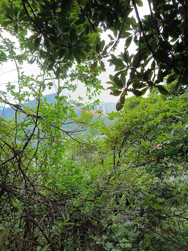 Suicide Cliff 2