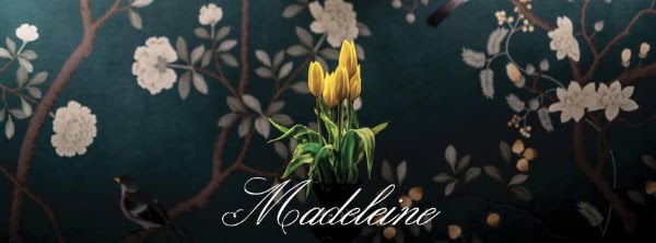 Madeleine 4