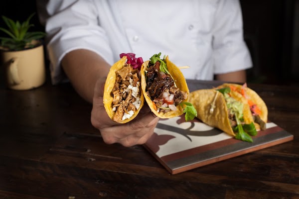 Pikio Taco 4