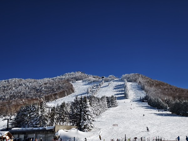 Shiga Kogen 3