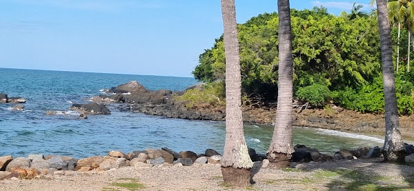 Port Douglas 4