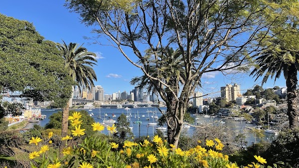 Lavender Bay 1