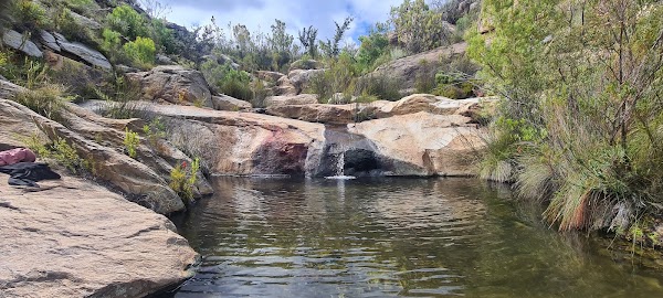 Montagu
