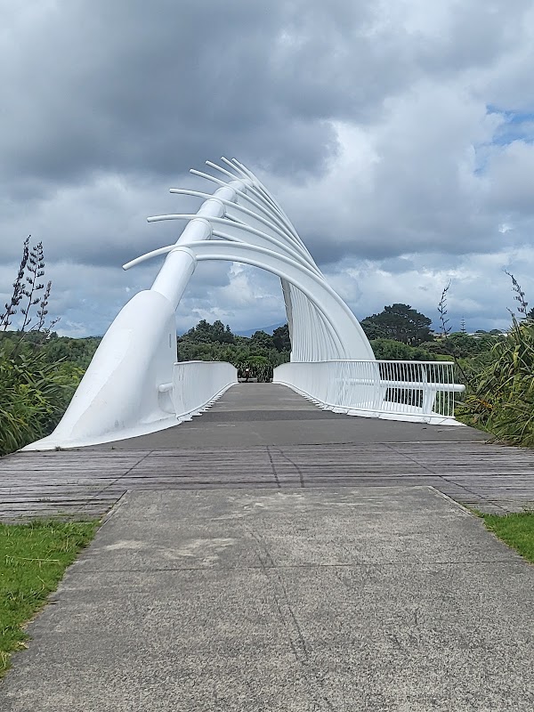 New Plymouth Coastal Walkway 1