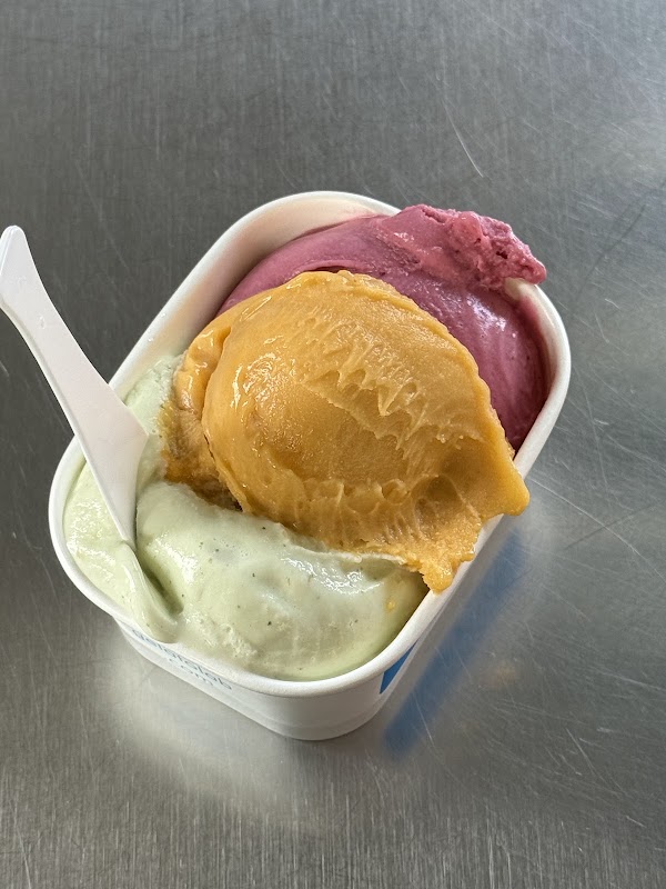 il laboratorio del gelato 4