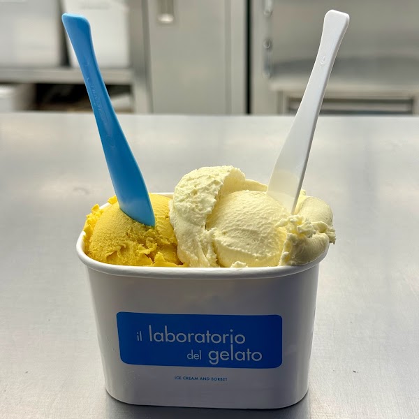 il laboratorio del gelato 3