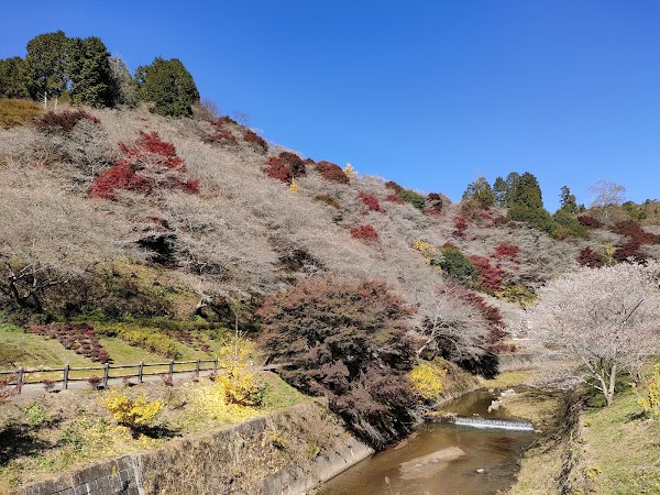 Obara Fureai Park 1