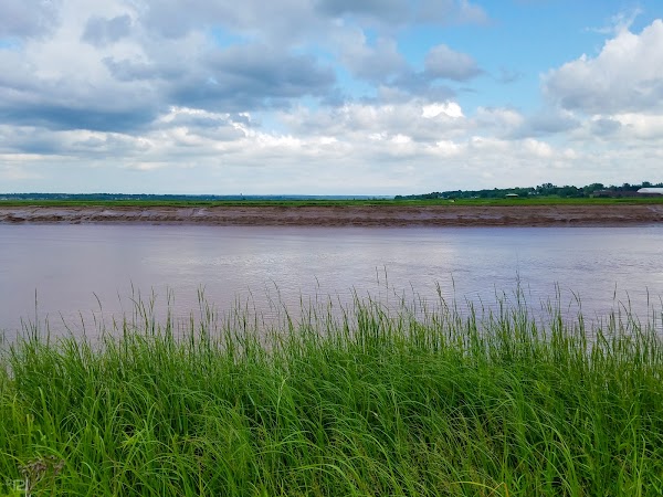 Petitcodiac River 1