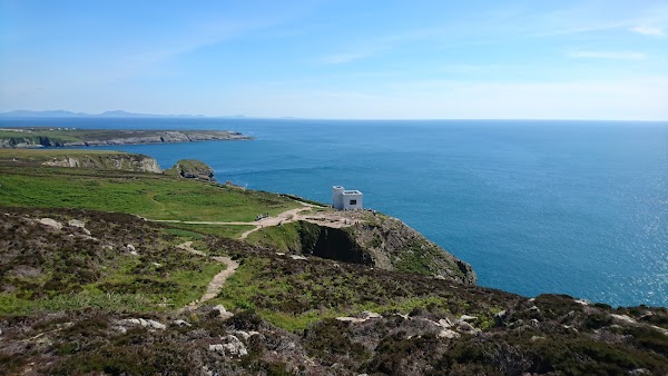 RSPB Cymru Ynys Lawd 5
