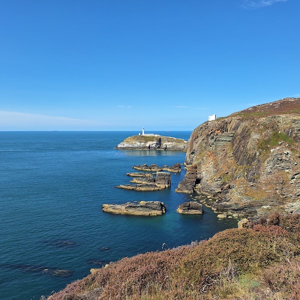 RSPB Cymru Ynys Lawd 4