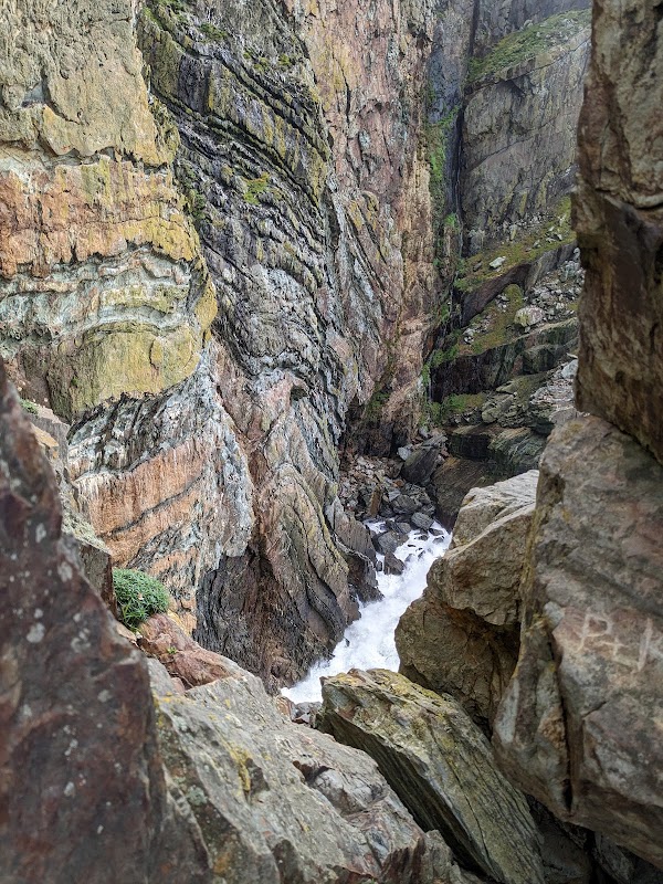RSPB Cymru Ynys Lawd 2