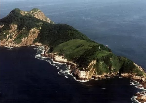 Snake Island 1