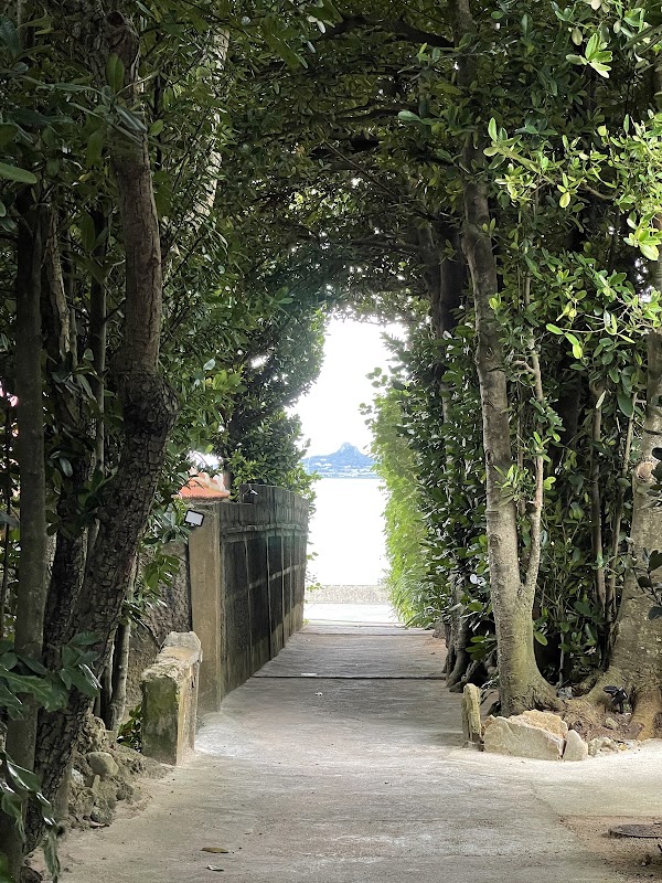 Bise-Fukugi Tree Road 5