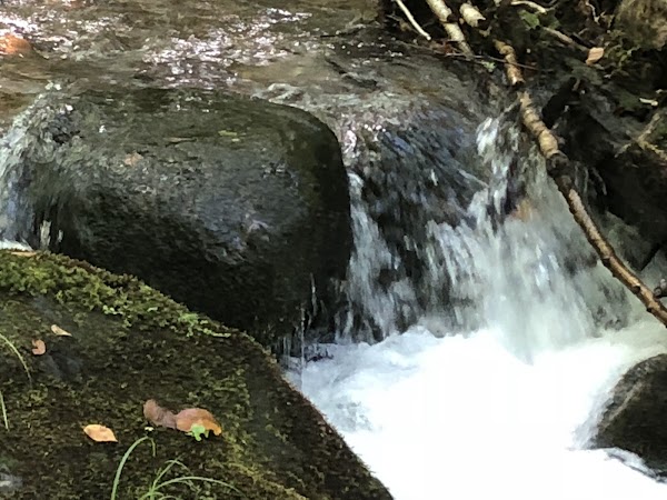 Unknown Pond North Trailhead 2