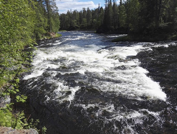 Kitkajoki 1