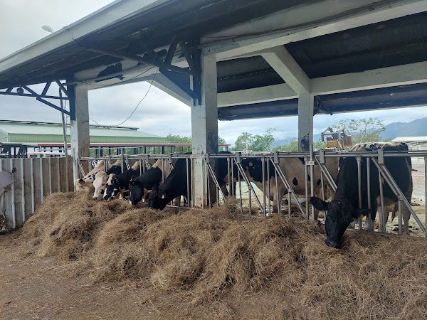 Chu Lu Ranch 4