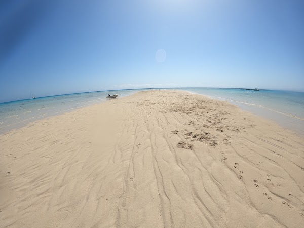 Walker Reef