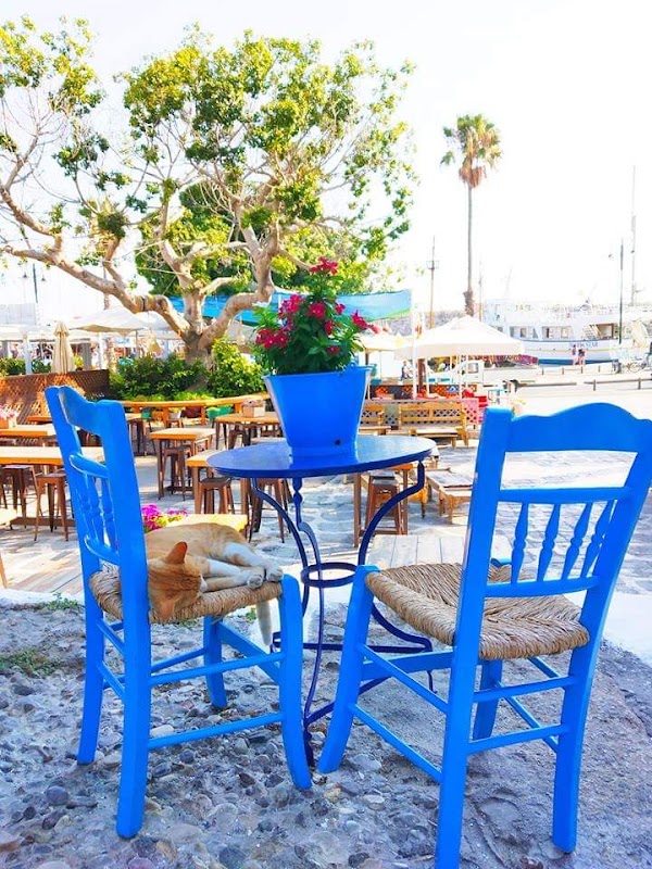 Fish House Taverna