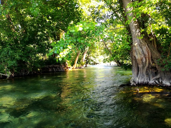 La Sorgue 5