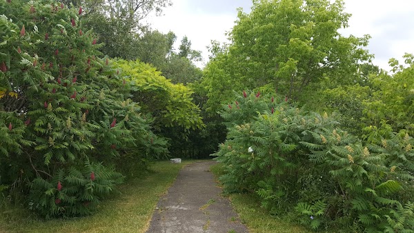 Niagara Escarpment Highest Point