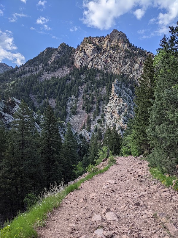 Rattlesnake Gulch Trail