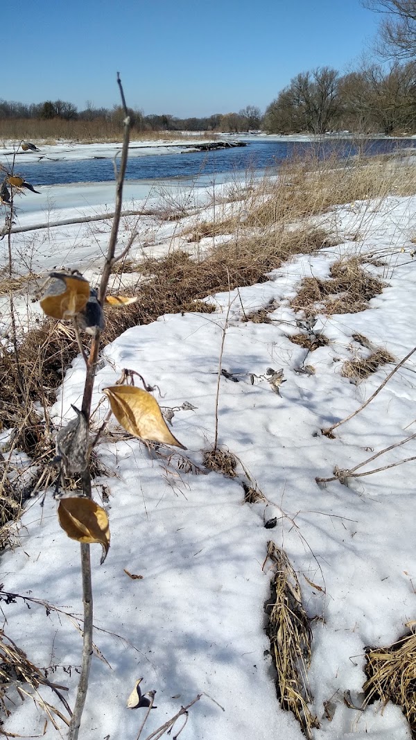 West Montrose 1